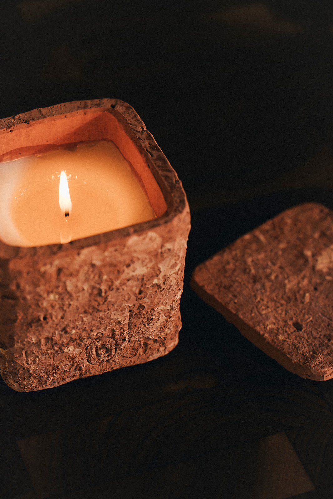 Wild Origins – Bombay Glow