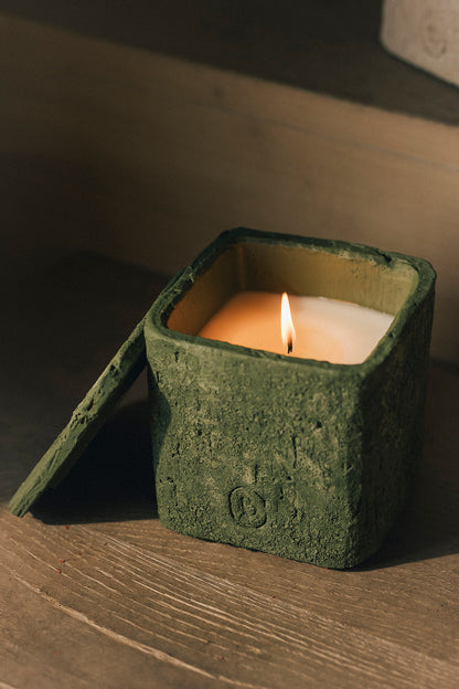 Wild Origins – Wild Moss