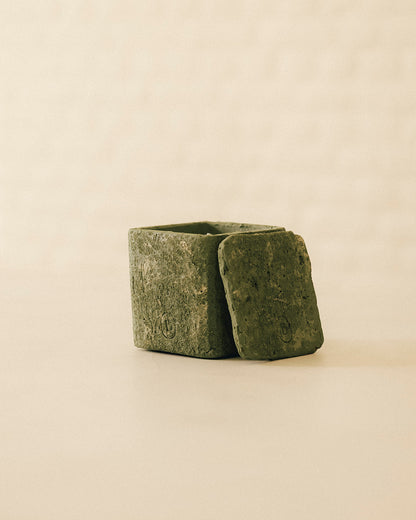 Wild Origins – Wild Moss