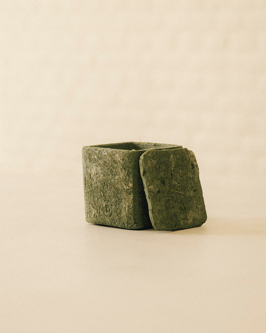 Wild Origins – Wild Moss